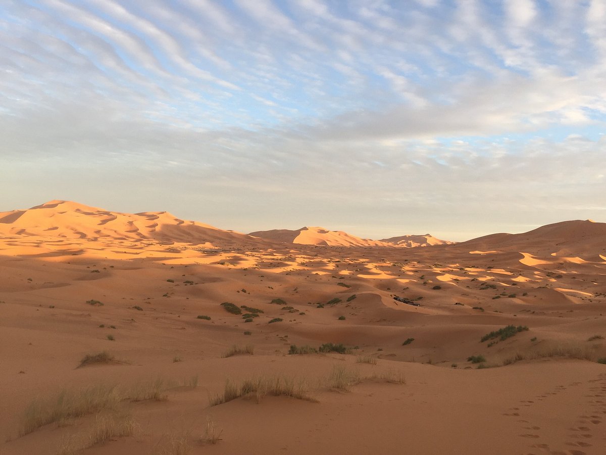Sunset view over the sand dunes of the Moroccan Sahara Desert